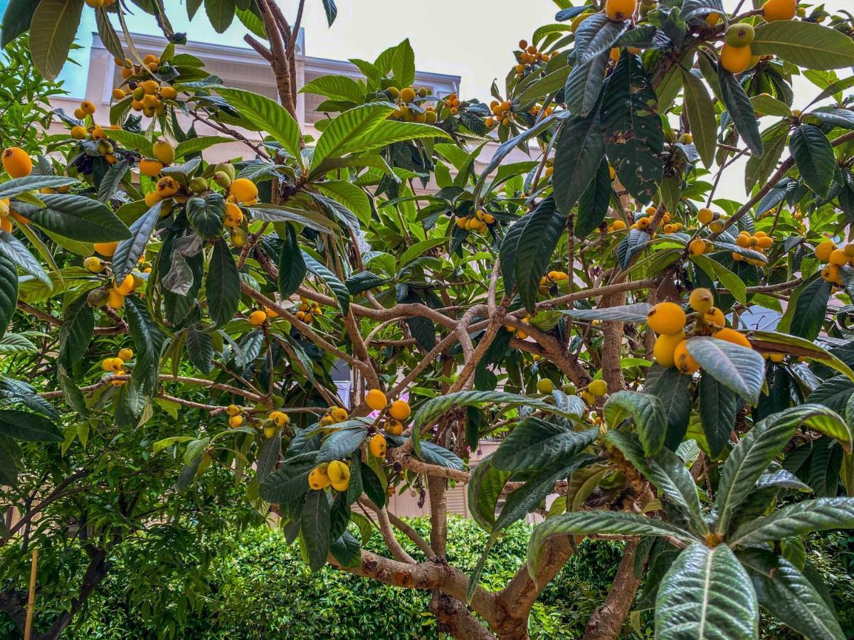 Ferienwohnung Al Giardino Del Nespolo Polignano a Mare Exterior foto